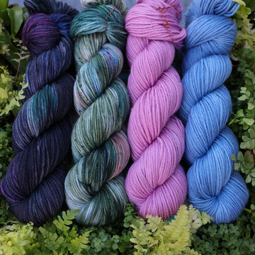 Last Rainforest Collection
