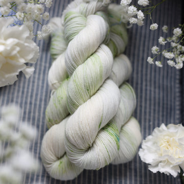 Lily of the Valley
