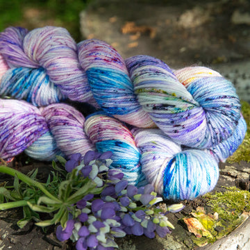 Alaska 2020 Collection