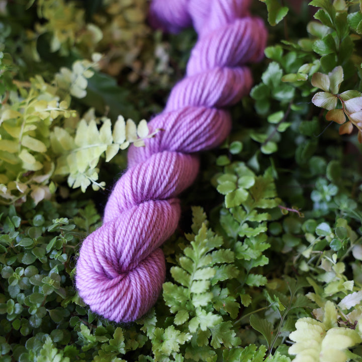 DK mini yarn colored a light violet pink color. This skein is on top of a bed of ferns and plants