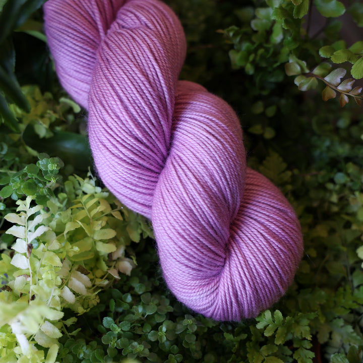 Sport yarn colored a light violet pink color. This skein is on top of a bed of ferns and plants