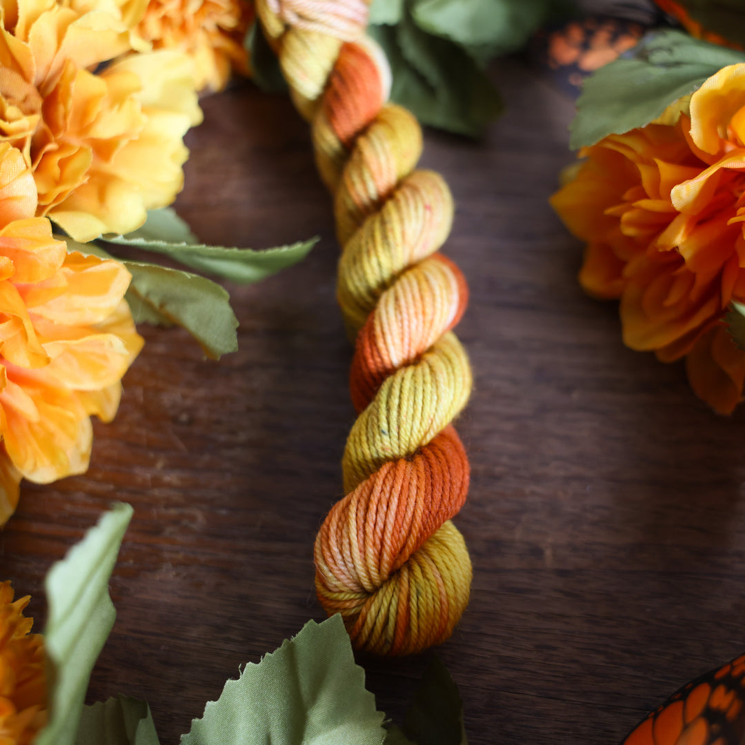 Marigold
