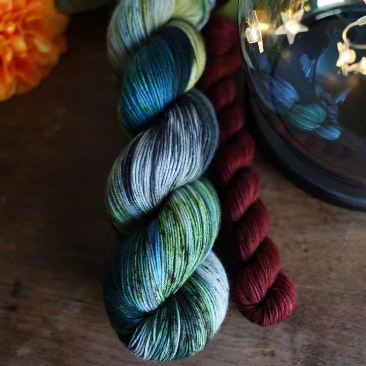 Cat Walk Socks Crochet Pattern and Yarn Kit