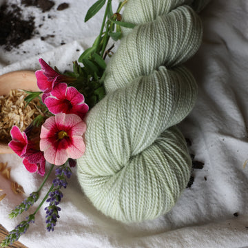 A lighter mint green colored fingering yarn skein on top of a white tablecloth with some pink and purple flowers and rice grains and soil in the corner.