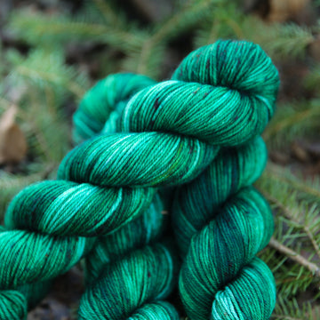 Sitka Spruce