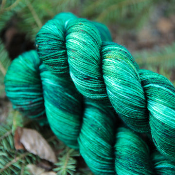 Sitka Spruce