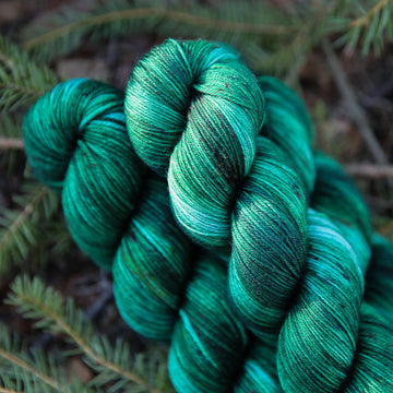 Sitka Spruce
