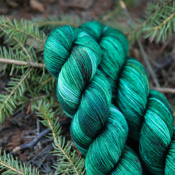 Sitka Spruce
