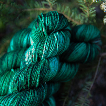 Sitka Spruce