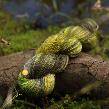 A Sparkle yarn skein colored with different shades of green and grey, on top of a tree limb that is hovering over a pond, with different mossy plants around the pond, and around the yarn.