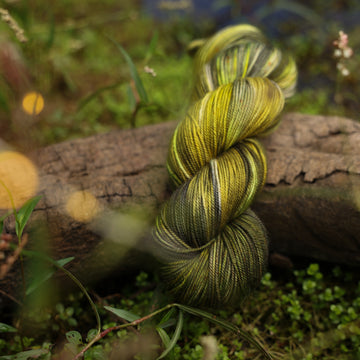 A Sport yarn skein colored with different shades of green and grey, on top of a tree limb that is hovering over a pond, with different mossy plants around the pond, and around the yarn.