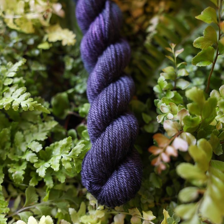 DK mini yarn colored dark purple and some dark blue. This skein is on top of a bed of ferns and plants