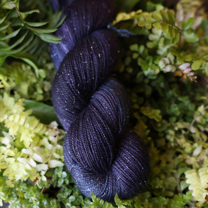 Fingering sparkle yarn colored dark purple and some dark blue. This skein is on top of a bed of ferns and plants