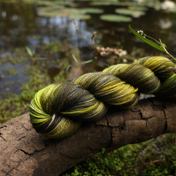 A worsted yarn skein colored with different shades of green and grey, on top of a tree limb that is hovering over a pond, with different mossy plants around the pond, and around the yarn.