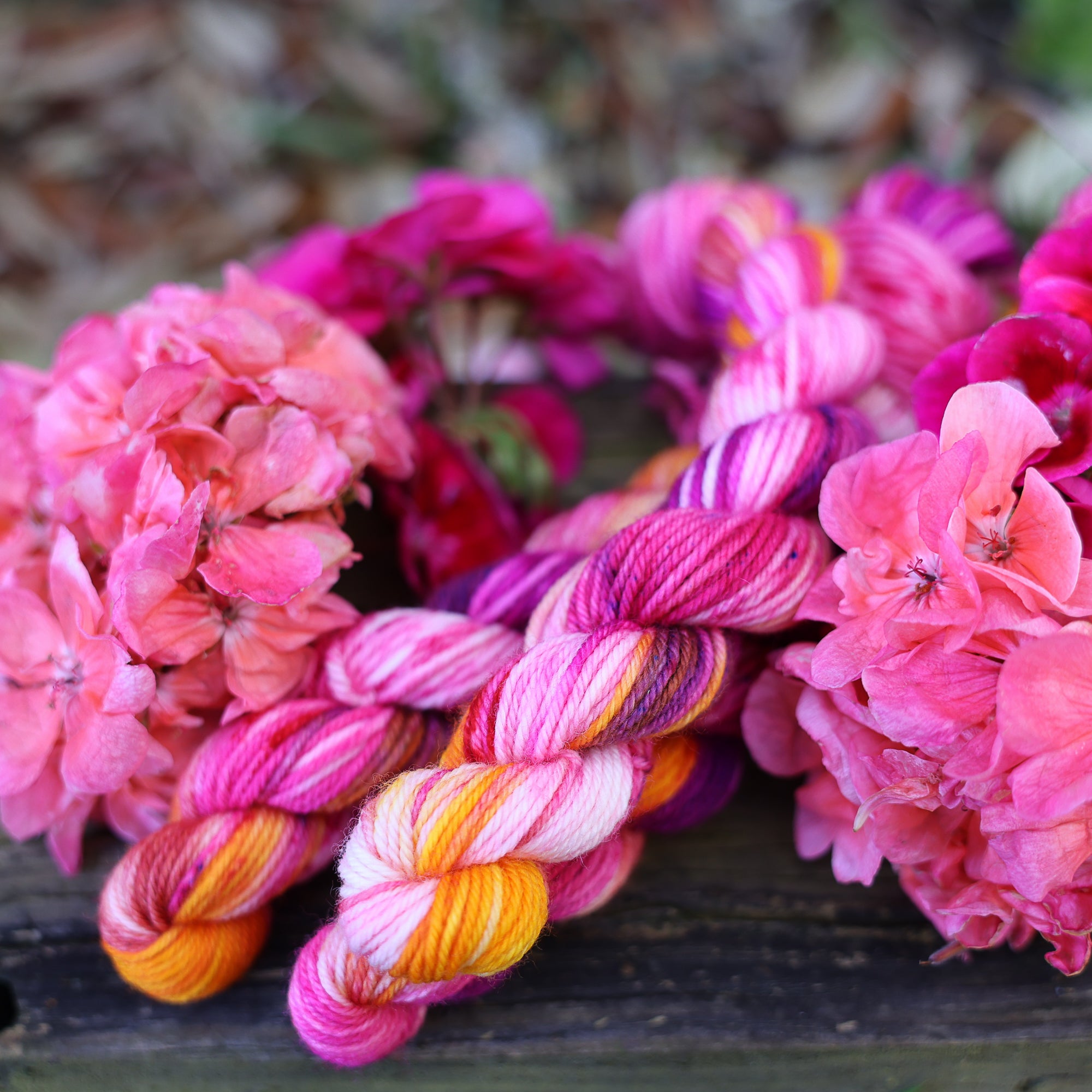 Zinnia – Bad Sheep Yarn