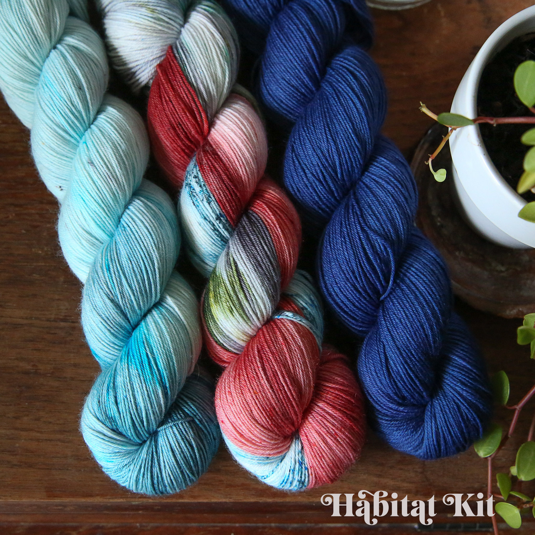 yarn skeins in light blue, red and pink, and dark blue, next to a small potted plant