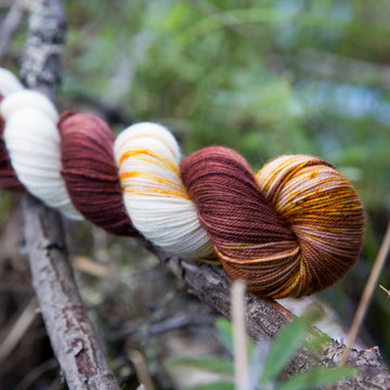 Alaska 2021 Collection